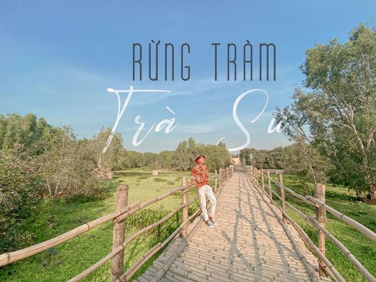 Du khách chụp ảnh trên cầu tre Trà Sư