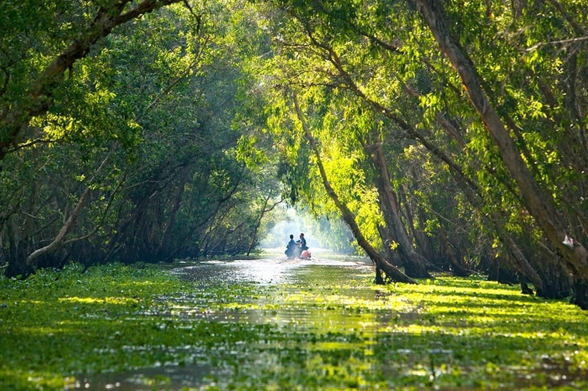 Kênh rạch xanh ngát ở Trà Sư