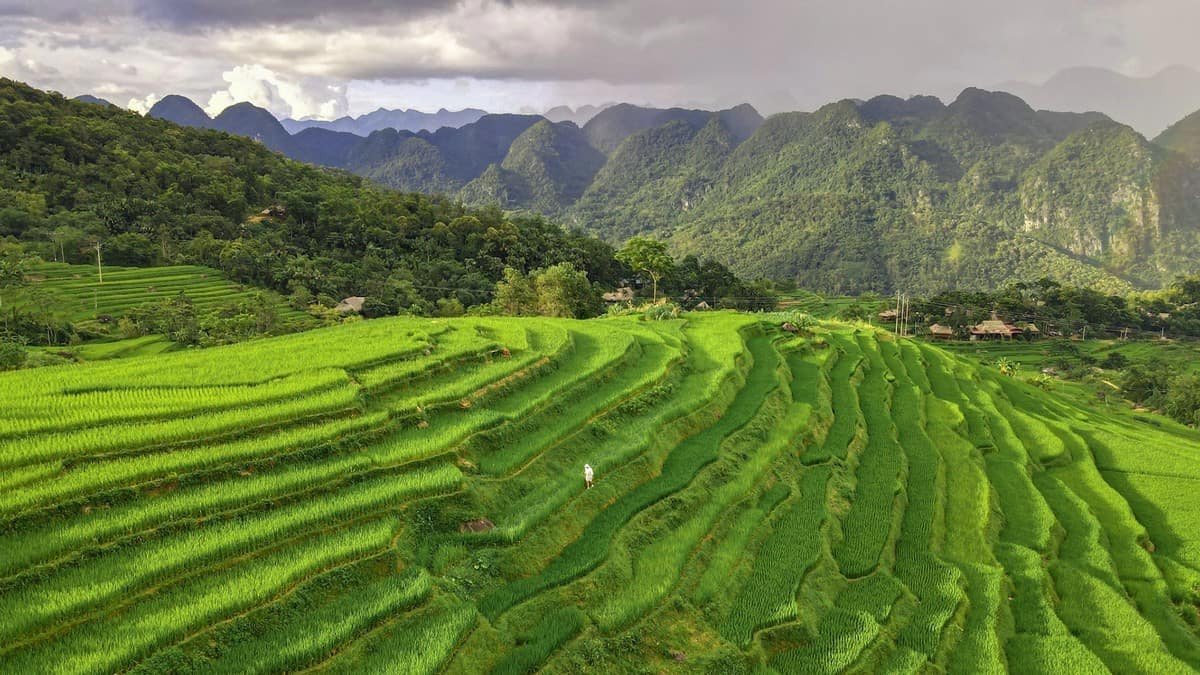 Ruộng bậc thang xanh mướt tại Pù Luông, Thanh Hóa