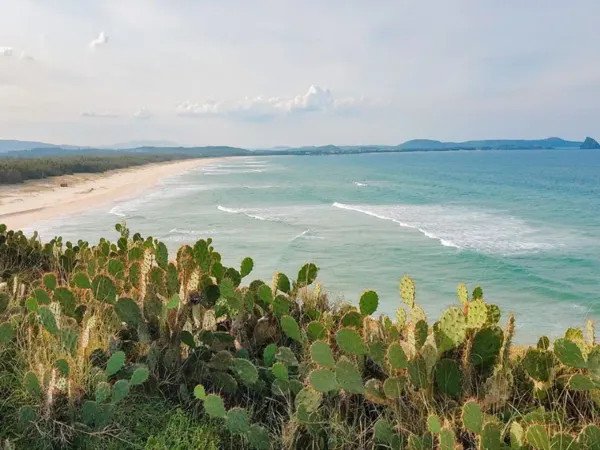 Bãi Xép Phú Yên, điểm đến biển tự lái lý tưởng