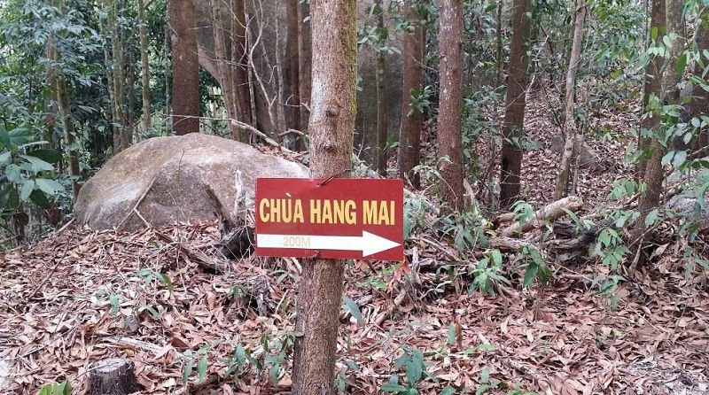 Biển chỉ dẫn đường lên Chùa Hang Mai trên Núi Dinh, thuận tiện cho việc di chuyển bằng xe ô tô