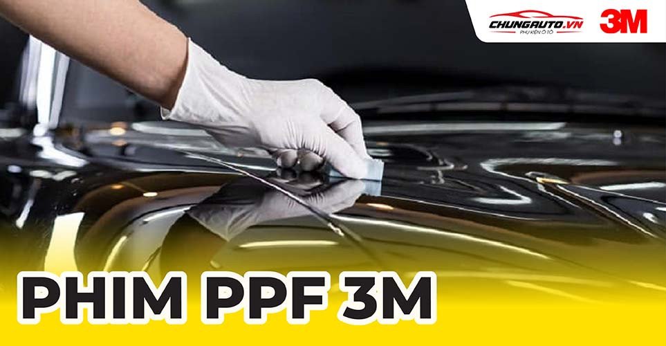 Phim PPF 3M bảo vệ bề mặt sơn xe ô tô