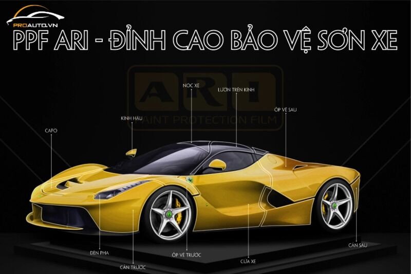 Sơ đồ minh họa các vị trí phổ biến trên xe ô tô cần dán PPF ARI