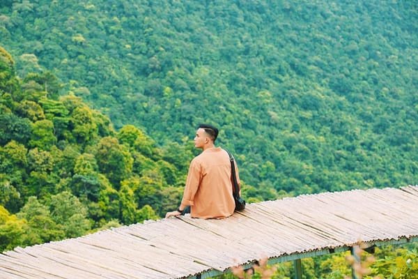 Tam Đảo, điểm nghỉ dưỡng cuối tuần lý tưởng với xe tự lái