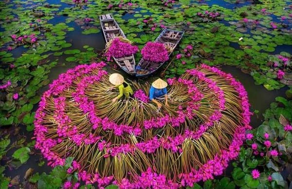 Trải nghiệm Làng Nổi Tân Lập bằng xe hơi cá nhân