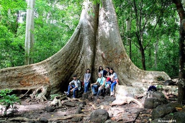 Trải nghiệm Vườn Quốc Gia Nam Cát Tiên cho chuyến đi tự lái