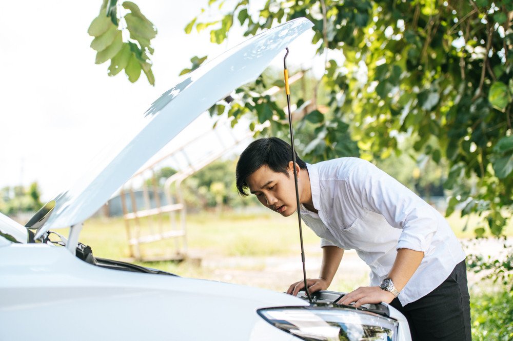 Vệ sinh định kỳ nội thất và khoang động cơ giúp chống chuột ô tô hiệu quả, bảo vệ xe khỏi các loài gặm nhấm.
