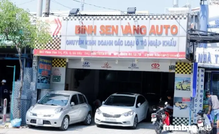 Bình Sen Vàng Auto