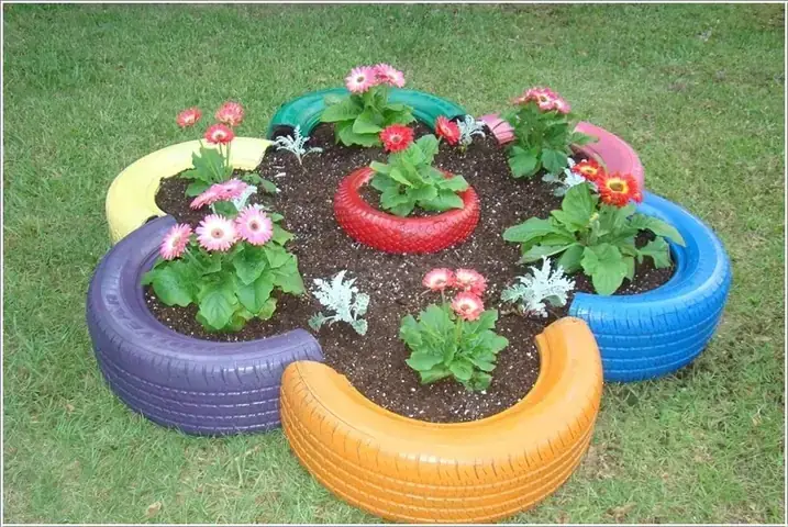 Đồ Chơi Vận Động: Chướng Ngại Vật, Vòng Nhảy
