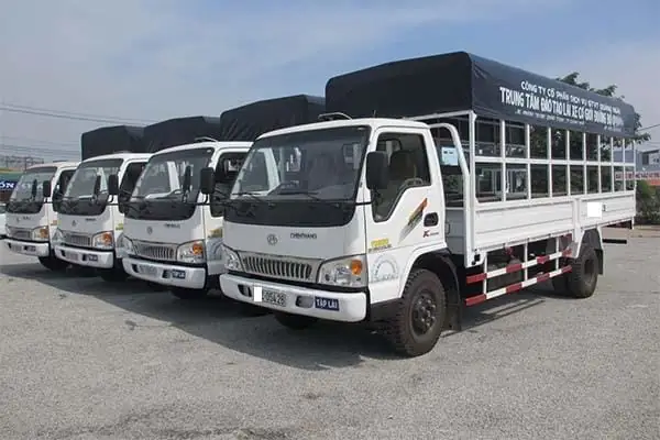 Bằng Lái Xe Ô Tô Hạng C Dùng Để Làm Gì?