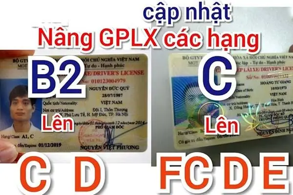 Cách Nâng Hạng Bằng Lái Hạng C Lên D, E Hay Fc