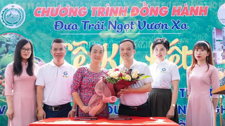 Kính Cửa Xe Ô Tô Kính Cửa Xe Ô Tô