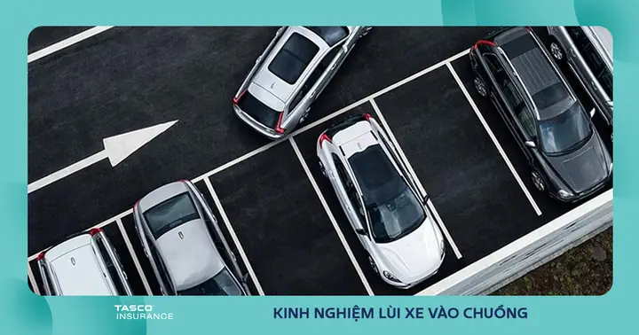Kinh Nghiệm Lùi Xe Vào Chuồng Nhanh Chóng Cho Lái Mới