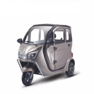 Giấy Phép Lái Xe Ô Tô 3 Bánh: Quy Định Và Yêu Cầu Pháp Lý