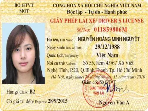 Làm Bằng Lái Xe Ô Tô Phôi Thật Các Loại Tại Làm Bằng 247