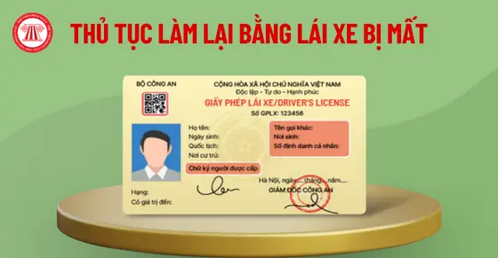 Bằng Lái Xe Bị Tạm Giữ, Tịch Thu