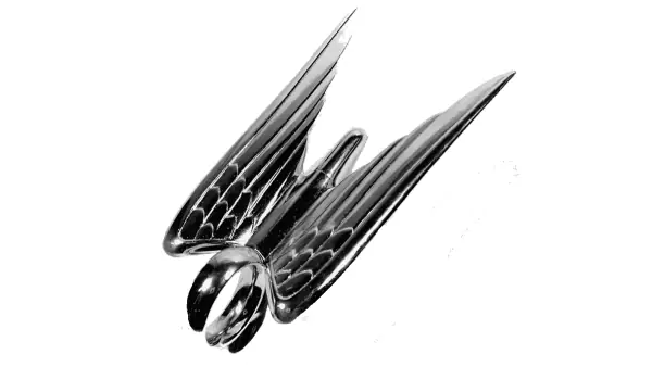 1951 – 1955