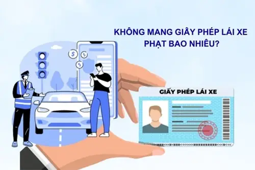 Lỗi Không Mang Giấy Phép Lái Xe Phạt Bao Nhiêu Kể Từ Năm 2025?