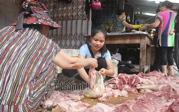 Lưới Ô Tô Cho Xe Subaru: Hướng Dẫn Chọn Mua, Lắp Đặt Và Bảo Quản Chi Tiết Nhất Lưới Ô Tô Cho Xe Subaru: Hướng Dẫn Chọn Mua, Lắp Đặt Và Bảo Quản Chi Tiết Nhất