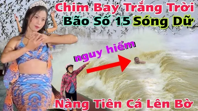 Hướng Dẫn Thiết Kế Và Sử Dụng Vé Giữ Xe Ô Tô Chuyên Nghiệp