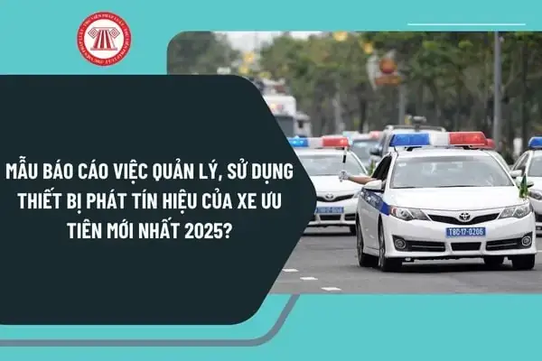 Bước 4: Thiết Kế Giao Diện & Trực Quan Hóa Dữ Liệu