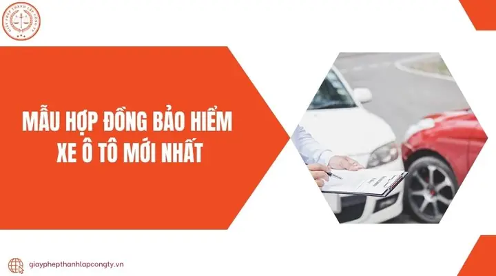 Mẫu Đơn Đổi Thẻ Bh Xe Ô Tô: Hướng Dẫn Chi Tiết, Thủ Tục & Lưu Ý