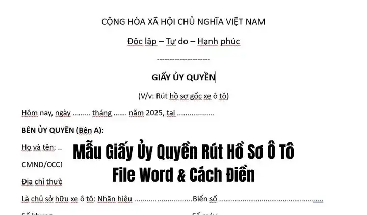 Thông Tin Về Phương Tiện Được Ủy Quyền Thông Tin Về Phương Tiện Được Ủy Quyền