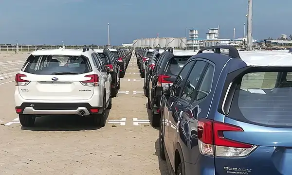 Áp Dụng Chính Sách Thuế Và Thông Quan