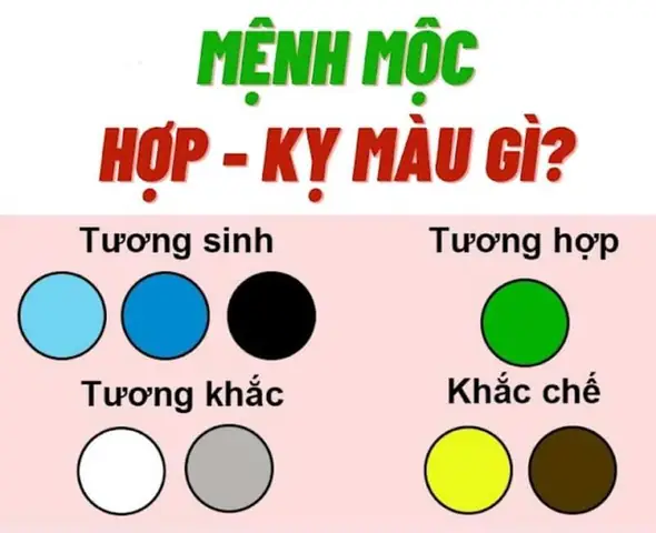 Người Mệnh Mộc Hợp Màu Gì? Người Mệnh Mộc Hợp Màu Gì?