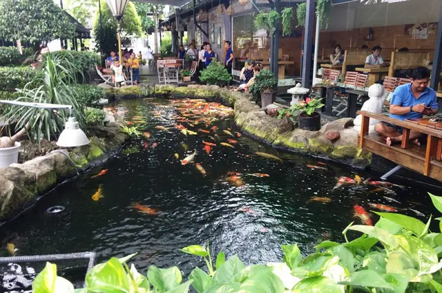 21. Cafe Cá Koi - Quán Cà Phê Nổi Tiếng Bạn Không Nên Bỏ Lỡ