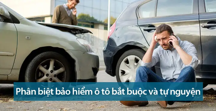 Phân Biệt Bảo Hiểm Ô Tô Tự Nguyện Và Bảo Hiểm Ô Tô Bắt Buộc