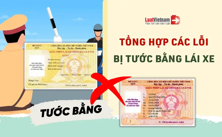 Lỗi Bị Tước Giấy Phép Lái Xe