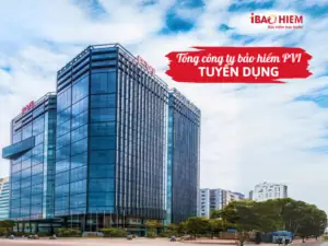 Tổng Công Ty Bảo Hiểm Pvi Tuyển Dụng