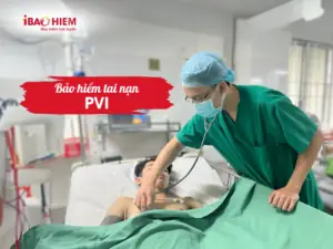 Bảo Hiểm Tai Nạn Pvi