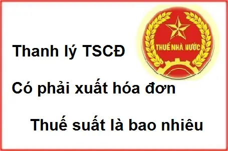 Thanh Lý Xe Ô Tô Không Có Hoá Đơn: Rủi Ro Pháp Lý & Cách Xử Lý An Toàn