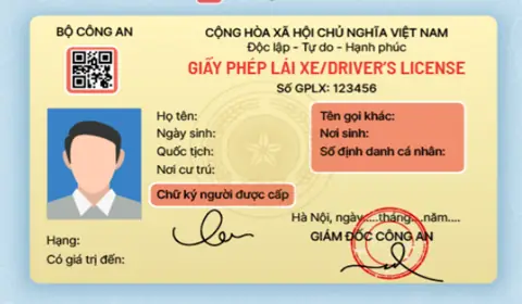 Trang Thông Tin Giấy Phép Lái Xe Ô Tô: Kiến Thức Toàn Tập Cho Người Mới Bắt Đầu