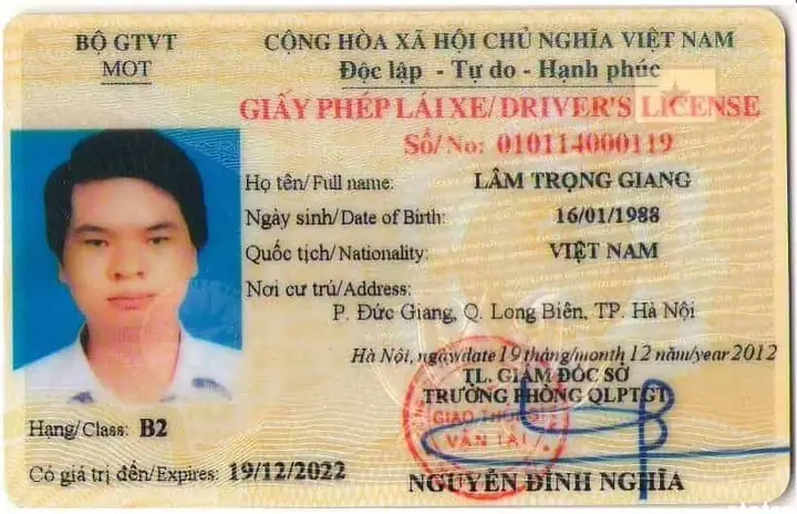 Trang Thông Tin Giấy Phép Lái Xe Ô Tô: Kiến Thức Toàn Tập Cho Người Mới Bắt Đầu