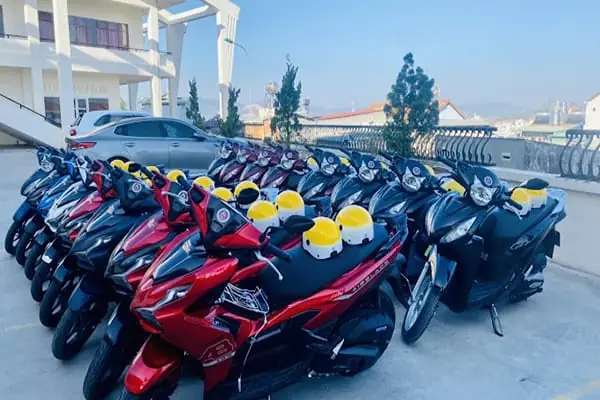 Dịch Vụ Thuê Xe Ô Tô Hoàn Vũ Đà Lạt: Kinh Nghiệm Chọn Xe Và Lịch Trình Khám Phá