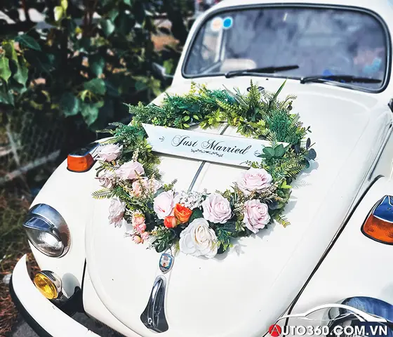 Dịch Vụ Cho Thuê Xe Đám Cưới Bạc Liêu