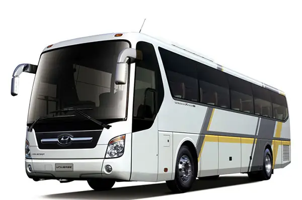 Những Địa Điểm Nên Đi Du Lịch Khi Tới Với Đảo Cát Bà