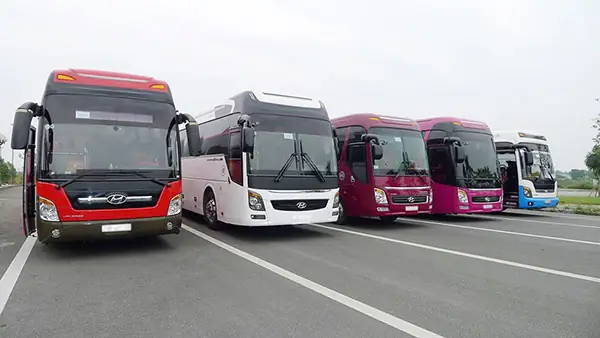 Du Lịch Cát Bà Thì Nên Đi Đâu?