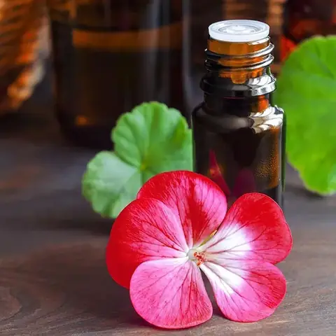 Top 15 Địa Điểm Du Lịch Mùa Đông Miền Bắc Lý Tưởng Nhất Cho Chuyến Đi Đáng Nhớ
