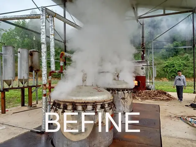 Nhà Máy Sản Xuất Tinh Dầu Quế Treo Xe Ô Tô Befine Nhà Máy Sản Xuất Tinh Dầu Quế Treo Xe Ô Tô Befine