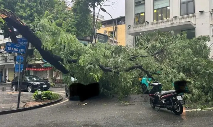 Hướng Dẫn Gửi Xe Ô Tô Tại Tràng Thi: Thủ Tục, Bãi Xe & Kinh Nghiệm