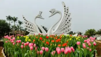 Trúng Xe Ô Tô Lake 1 Ecopark Trúng Xe Ô Tô Lake 1 Ecopark