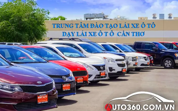 Trung Tâm Đào Tạo Và Sát Hạch Lái Xe Đồng Bằng