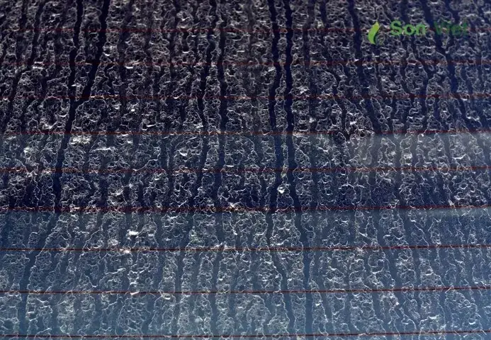 Phân Biệt Nước Rửa Kính Cô Đặc Và Dung Dịch Pha Sẵn