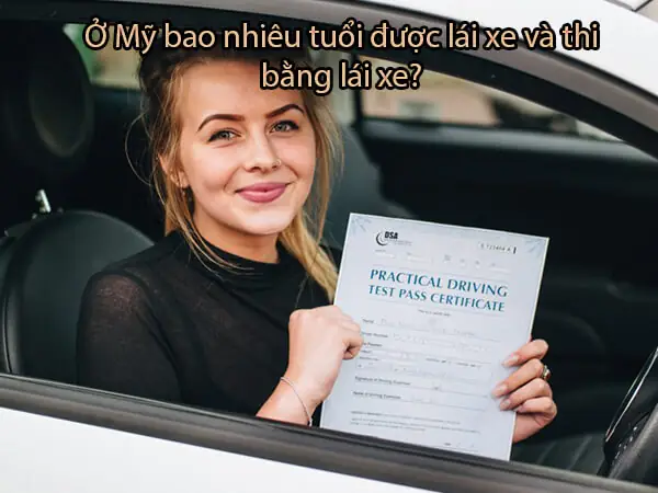 Tuổi Được Lái Xe Ô Tô Ở Nhật Bản Là Bao Nhiêu? Toàn Diện Về Luật Lệ & Quy Trình