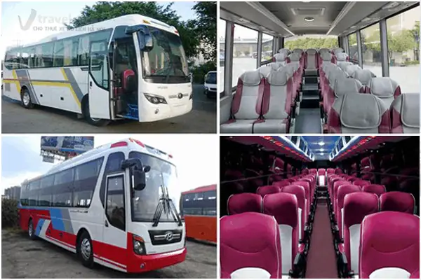 Quy Định Pháp Luật Về Lái Xe Ô Tô 60 Chỗ: Độ Tuổi, Sức Khỏe Và Bằng Lái Quy Định Pháp Luật Về Lái Xe Ô Tô 60 Chỗ: Độ Tuổi, Sức Khỏe Và Bằng Lái