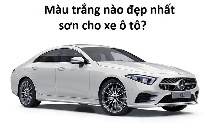 Xe Ô Tô Màu Nào Đẹp Nhất?